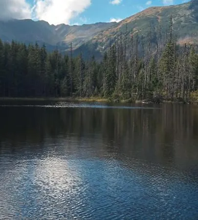 Chalet U Kowalskich - I *